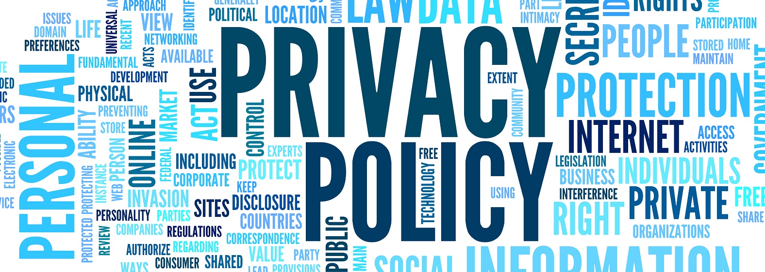 Privacy Policy